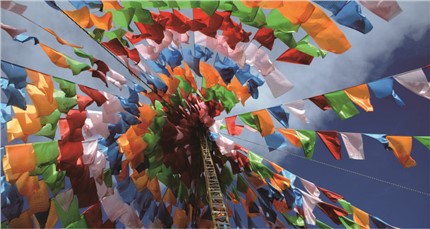 那曲地區冬蟲夏草分布的特點